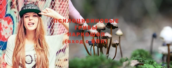 apvp Покровск