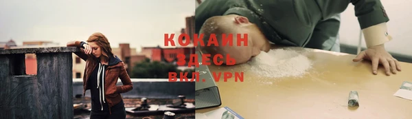 ПСИЛОЦИБИНОВЫЕ ГРИБЫ Покров