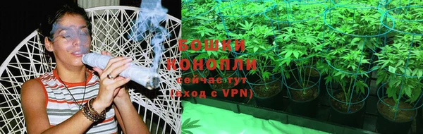 дурь Пересвет