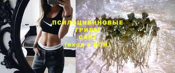 дурь Пересвет