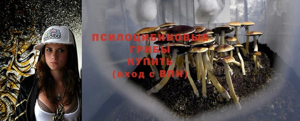 apvp Покровск