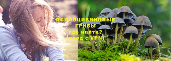 трава Переславль-Залесский
