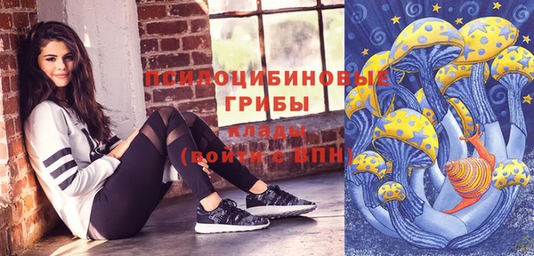 PSILOCYBIN Аркадак